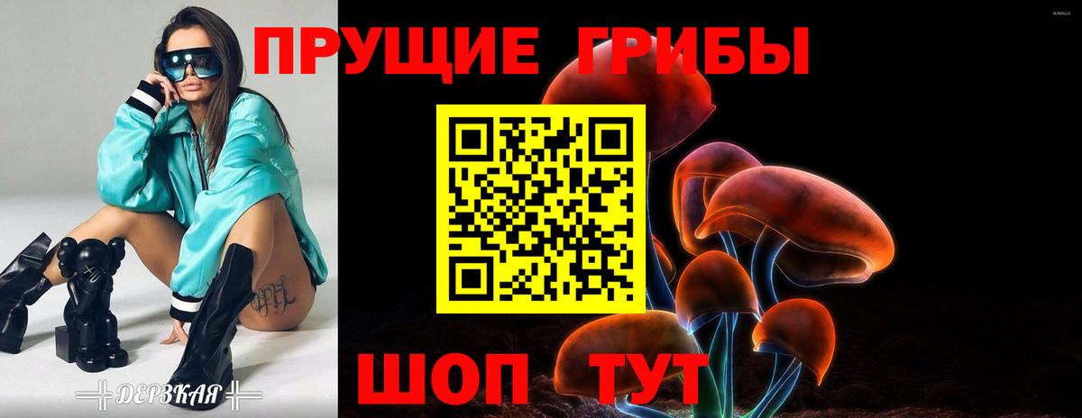 Псилоцибиновые грибы прущие грибы Усть-Джегута